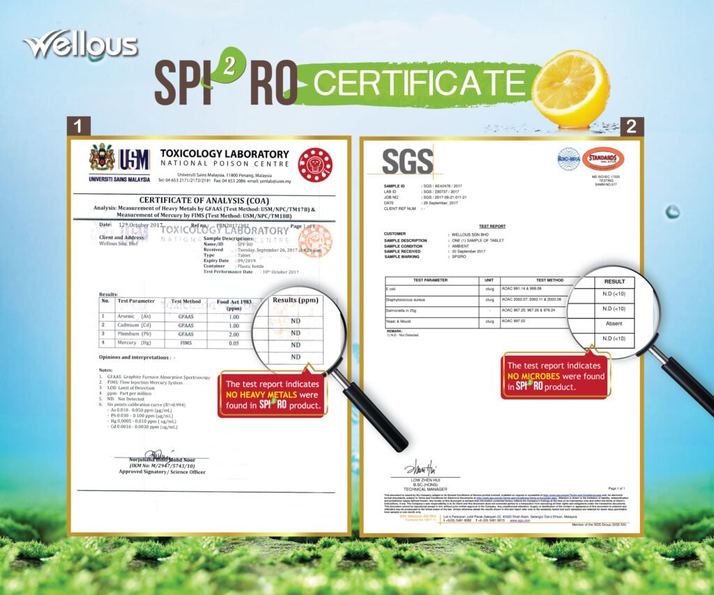 Spiro | Wellous Australia 6 Spi2ro Certificate