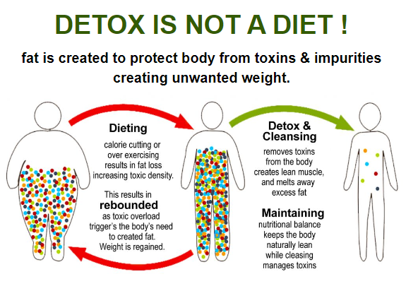 Spiro | Wellous Australia 5 is taking spiro detox the same as going on a diet