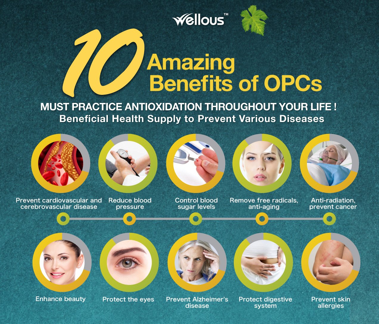 Bio-Grape Seed | Wellous Australia 3 Key benefits of OPCs from bio grape seed