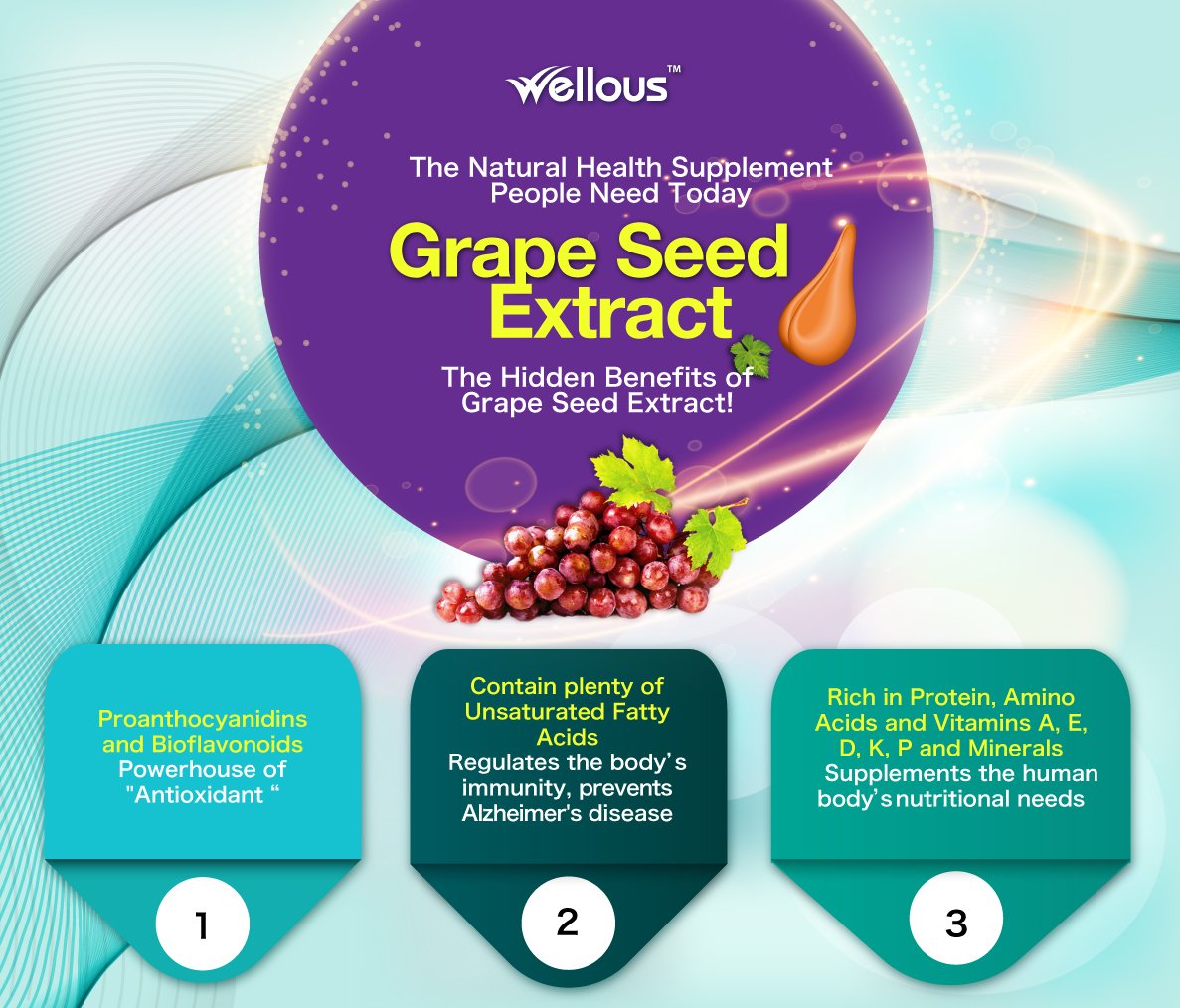 Bio-Grape Seed | Wellous Australia 2 what is bio grape seed