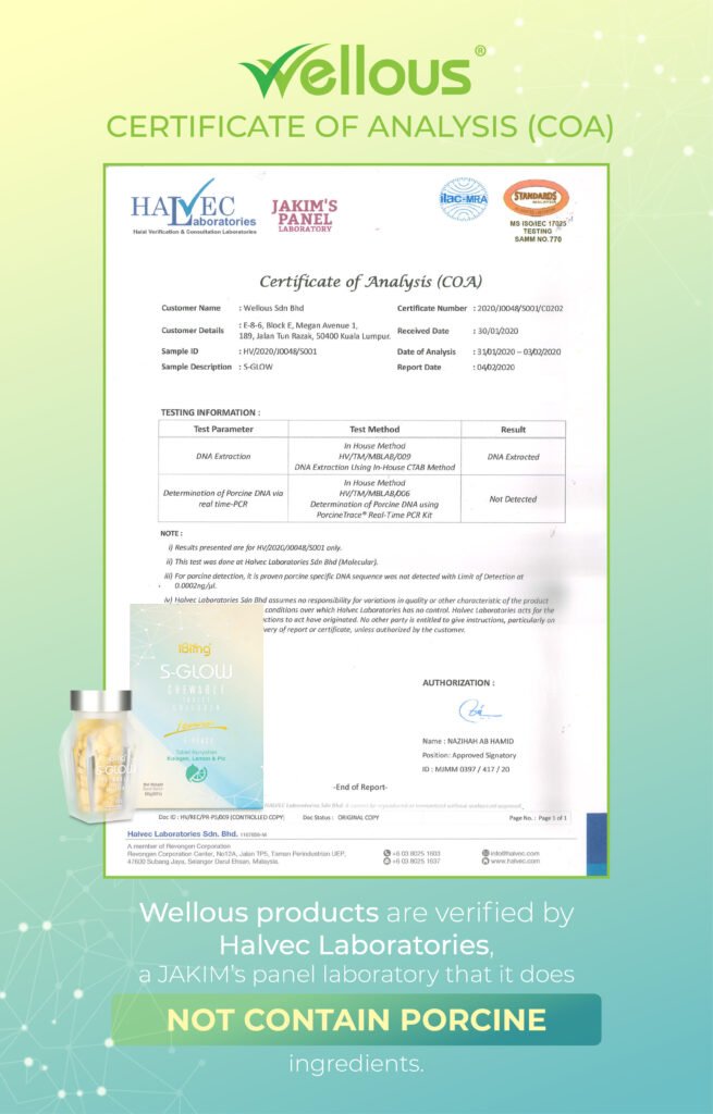 IBling S-Glow | Wellous Australia 8 S-GLOW_Halvec cert_ENG