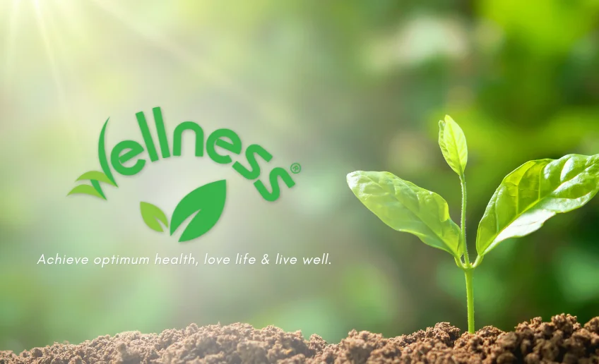 About Us 2 Achieve optimum health love life live well png
