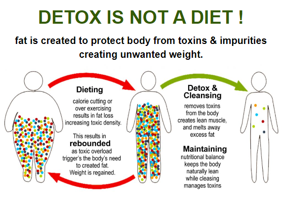 is taking spiro detox the same as going on a diet