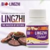 BioLingZhi-Australia-Mushroom-EN