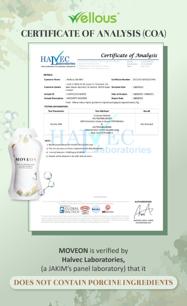 MOVEON_Halvec certificate_ENG