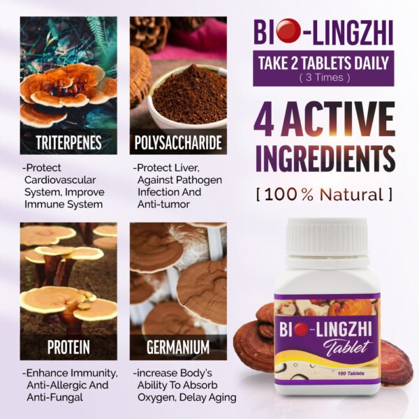biolingzhi-ingredient-EN-1